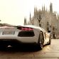 Lamborghini 50th Anniversary Grand Tour