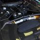 Lamborghini Aventador Roadster 50th For Sale (12)