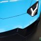 Lamborghini Aventador Roadster 50th For Sale (19)