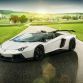 Novitec Aventador Roadster 14
