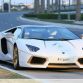 Lamborghini Aventador Roadster National Day Golden Limited Edition (13)
