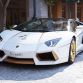 Lamborghini Aventador Roadster National Day Golden Limited Edition (15)