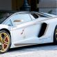 Lamborghini Aventador Roadster National Day Golden Limited Edition (19)