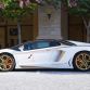 Lamborghini Aventador Roadster National Day Golden Limited Edition (22)
