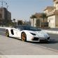 Lamborghini Aventador Roadster National Day Golden Limited Edition (6)