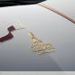 Lamborghini Aventador Roadster National Day Golden Limited Edition (8)