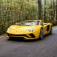 Lamborghini Aventador S (25)