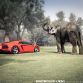 Lamborghini Aventador with ADV.1 Wheels meet an Elephant