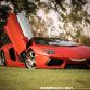 Lamborghini Aventador with ADV.1 Wheels meet an Elephant