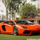 Lamborghini Aventador with ADV.1 Wheels meet an Elephant