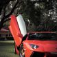 Lamborghini Aventador with ADV.1 Wheels meet an Elephant