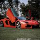 Lamborghini Aventador with ADV.1 Wheels meet an Elephant