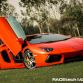Lamborghini Aventador with ADV.1 Wheels meet an Elephant