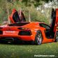 Lamborghini Aventador with ADV.1 Wheels meet an Elephant