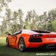 Lamborghini Aventador with ADV.1 Wheels meet an Elephant
