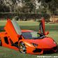 Lamborghini Aventador with ADV.1 Wheels meet an Elephant