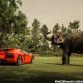 Lamborghini Aventador with ADV.1 Wheels meet an Elephant