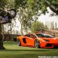 Lamborghini Aventador with ADV.1 Wheels meet an Elephant