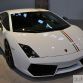 Lamborghini Gallardo Tricolore Live