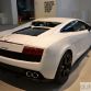 Lamborghini Gallardo Tricolore Live