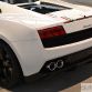 Lamborghini Gallardo Tricolore Live