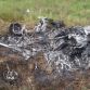 Lamborghini Huracan Crash in Hungary