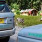 range-rover-hybrid-silk-road-20-1
