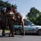 range-rover-hybrid-silk-road-27-1
