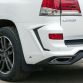 larte_white_alligator8