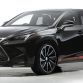 Lexus_NX_by_Wald_International07