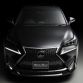 Lexus_NX_by_Wald_International11