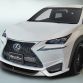 Lexus NX by Wald International (1)