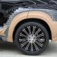 Lexus NX by Wald International (9)