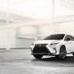 Lexus RX 2016 (45)
