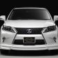 Lexus RX F SPORT by Wald International