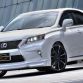 Lexus RX F SPORT by Wald International