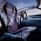 Lexus_UX_Concept_13
