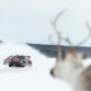 Rallycross-6