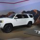 Los Angeles Auto Show 2015 (10)