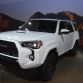 Los Angeles Auto Show 2015 (11)