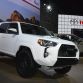 Los Angeles Auto Show 2015 (12)