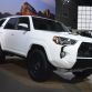 Los Angeles Auto Show 2015 (13)