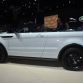 Los Angeles Auto Show 2015 (177)