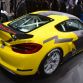 Los Angeles Auto Show 2015 (276)