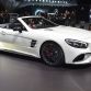 Los Angeles Auto Show 2015 (315)