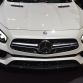 Los Angeles Auto Show 2015 (316)