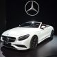 Los Angeles Auto Show 2015 (318)