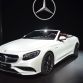 Los Angeles Auto Show 2015 (319)