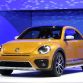 Los Angeles Auto Show 2015 (433)