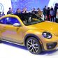 Los Angeles Auto Show 2015 (437)